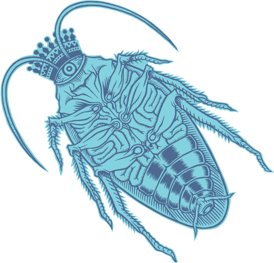 Stylized Cockroach Illustration PNG