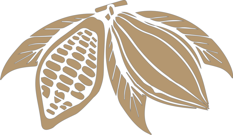 Stylized Cocoa Pods Illustration PNG