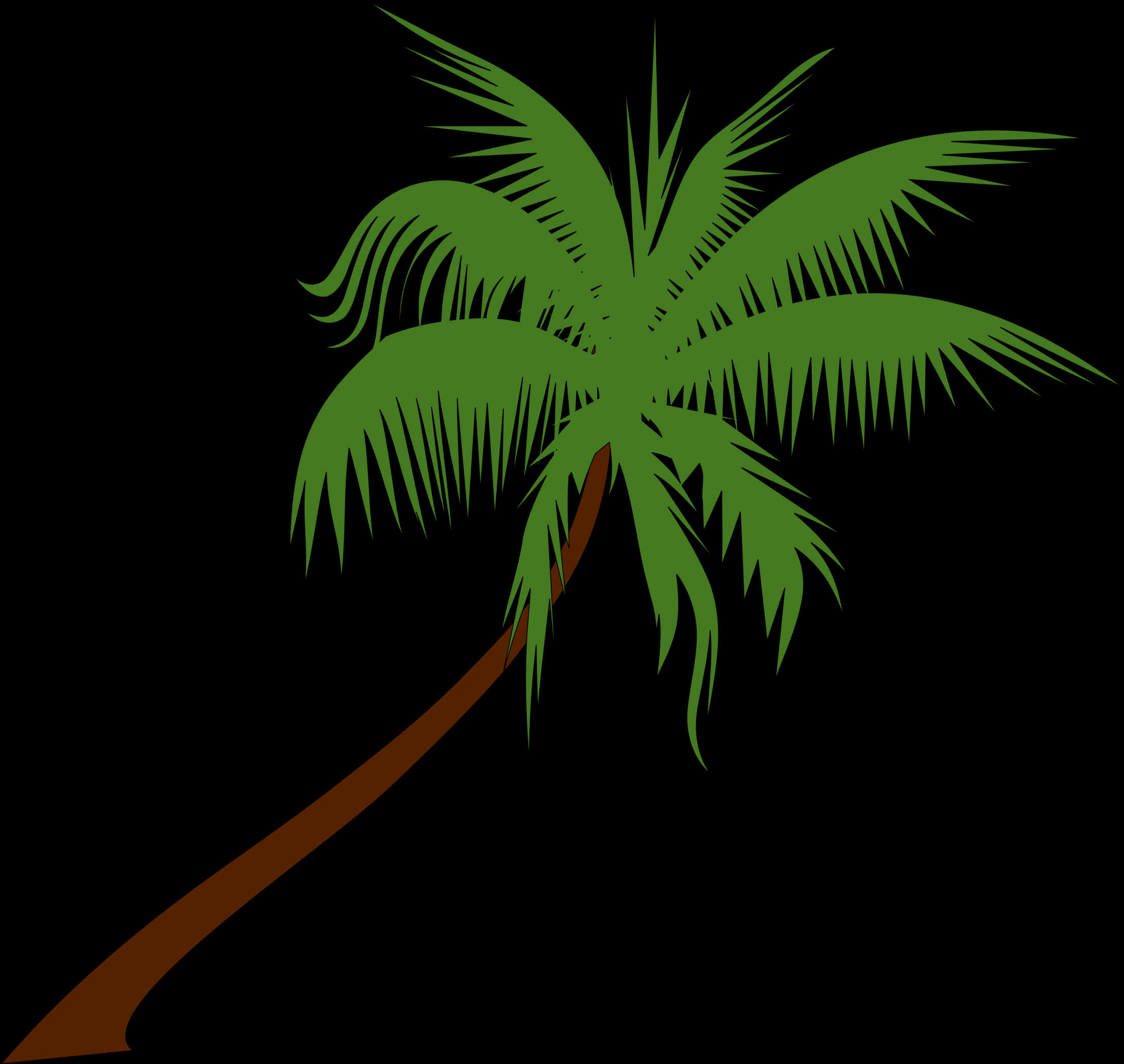 Stylized Coconut Tree Vector PNG