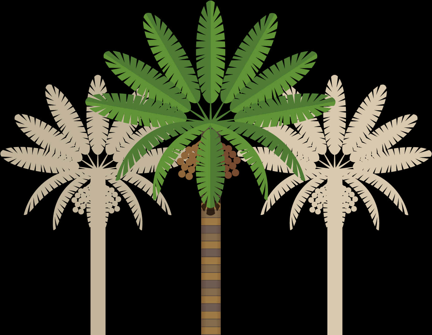 Stylized Coconut Trees Illustration PNG