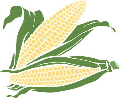 Stylized Corn Illustration PNG