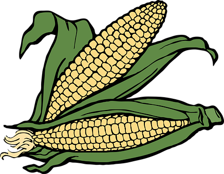 Stylized Corn Illustration PNG