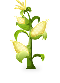 Stylized Corn Plant Illustration PNG