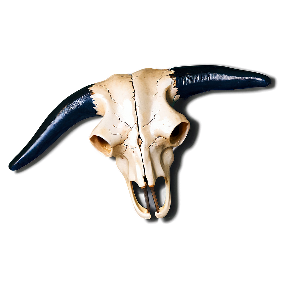 Stylized Cow Skull Png 28 PNG