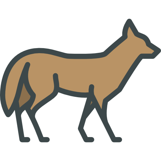 Stylized Coyote Graphic PNG