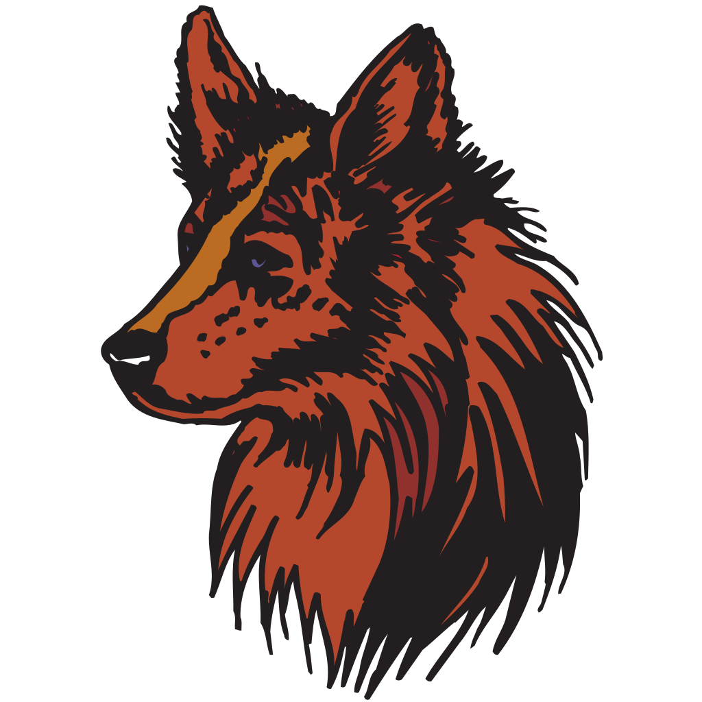 Stylized Coyote Portrait PNG