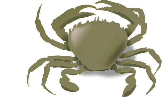 Stylized Crab Illustration PNG