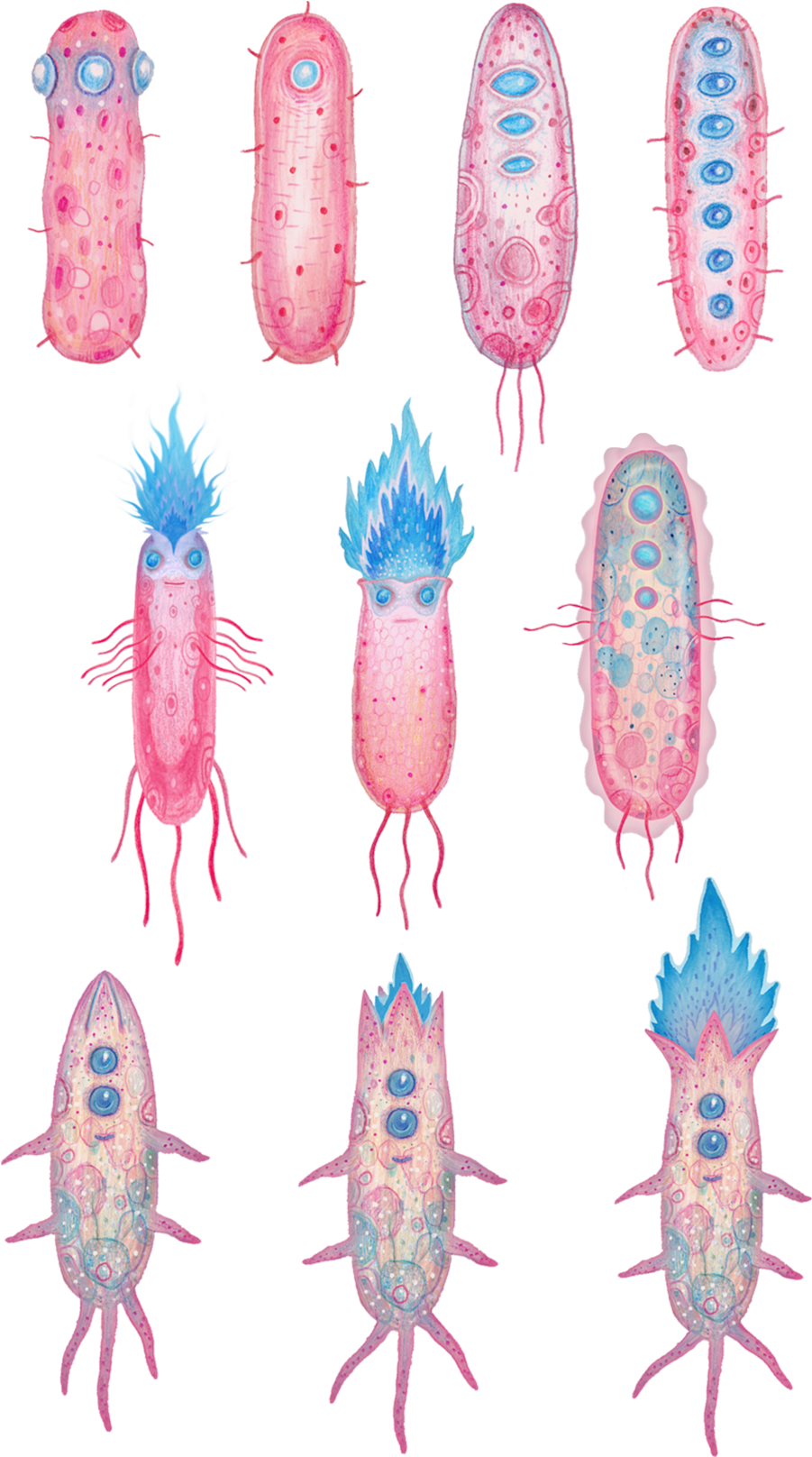 Stylized Crayfish Illustrations PNG