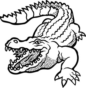Stylized Crocodile Illustration PNG