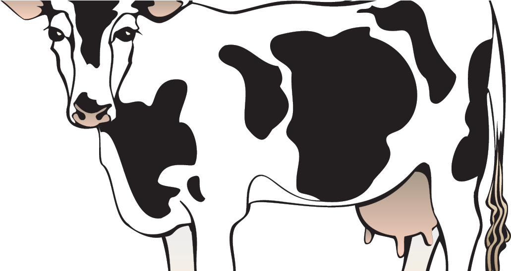 Stylized Dairy Cow Illustration PNG