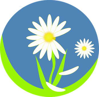 Stylized Daisy Graphic PNG