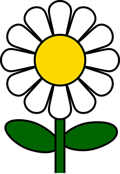 Stylized Daisy Graphic PNG