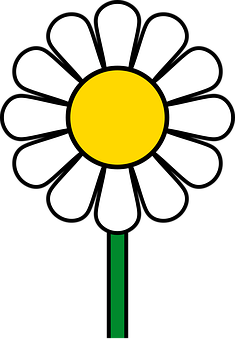 Stylized Daisy Graphic PNG