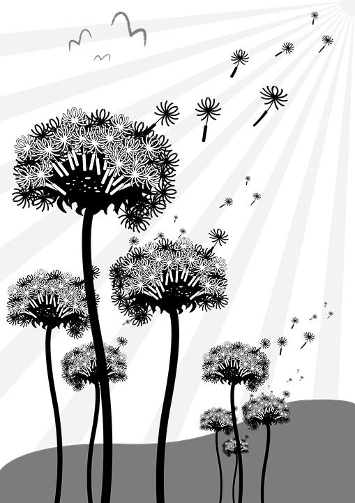 Stylized Dandelion Silhouettes PNG