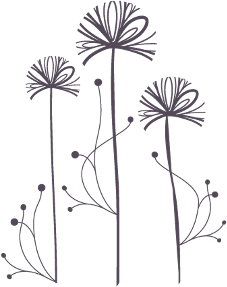 Stylized Dandelion Silhouettes PNG