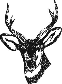 Stylized Deer Head Silhouette PNG