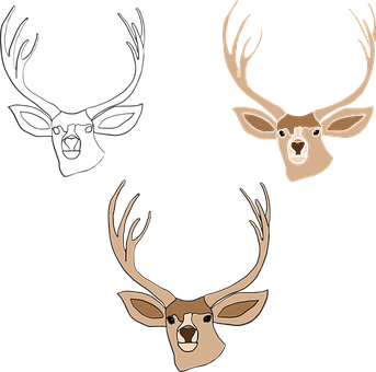 Stylized Deer Heads Triptych PNG