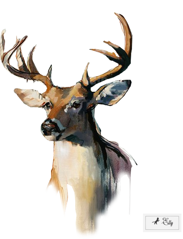 Stylized Deer Painting PNG
