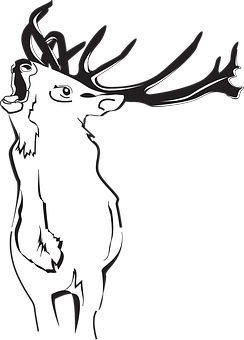 Stylized Deer Silhouette Art PNG