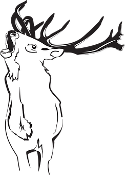 Stylized Deer Silhouette PNG