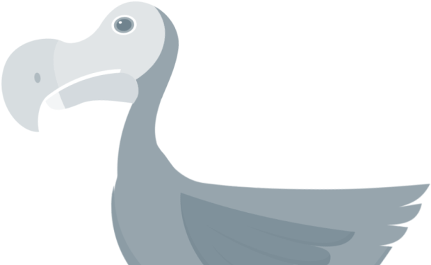 Stylized Dodo Bird Illustration PNG