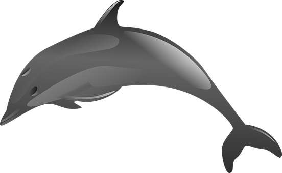 Stylized Dolphin Graphic PNG