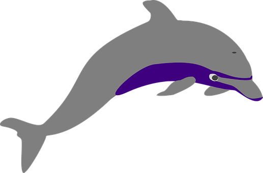 Stylized Dolphin Graphic PNG