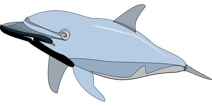 Stylized Dolphin Illustration PNG