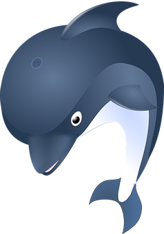 Stylized Dolphin Illustration PNG