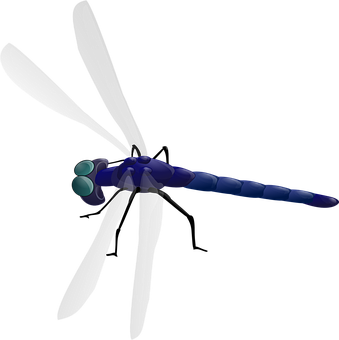 Stylized Dragonfly Illustration PNG