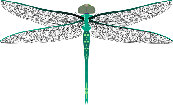 Stylized Dragonfly Illustration PNG