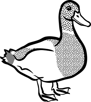 Stylized Duck Illustration Black White PNG