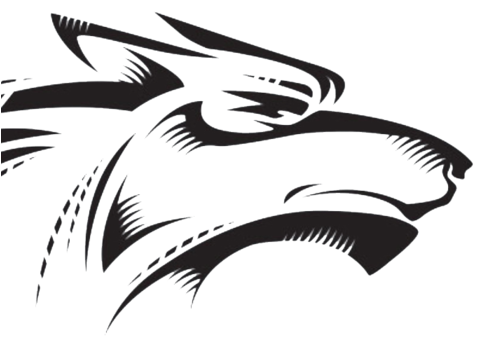 Stylized Eagle Graphic PNG