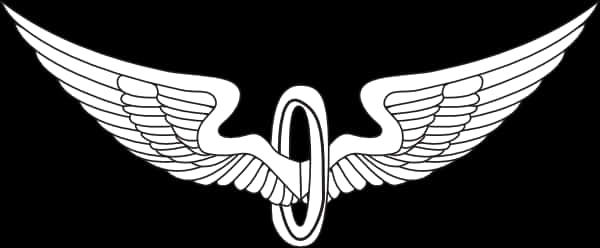 Stylized Eagle Wings Logo PNG