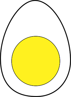 Stylized Egg Illustration PNG