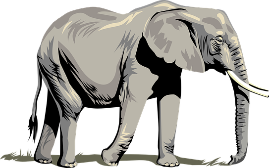 Stylized Elephant Graphic PNG