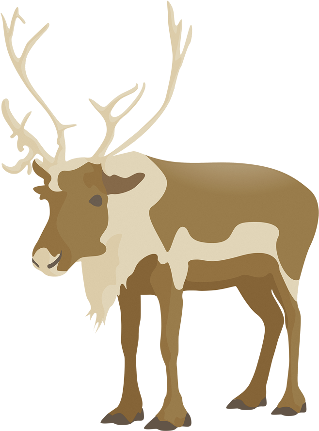 Stylized Elk Illustration PNG