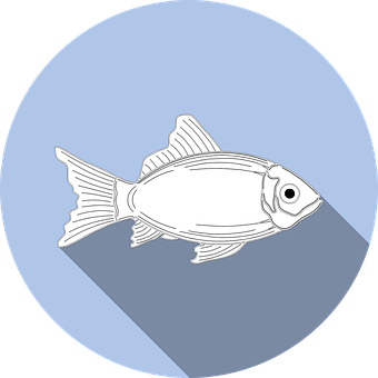 Stylized Fish Icon PNG