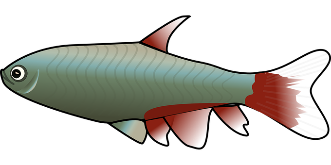 Stylized Fish Illustration PNG