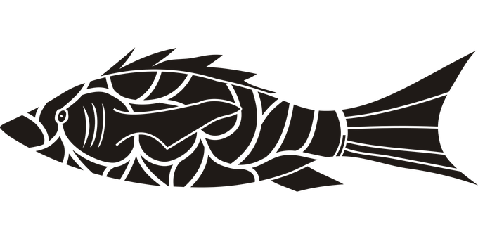 Stylized Fish Silhouette PNG