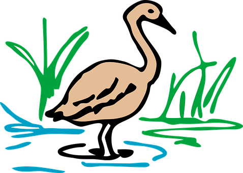 Stylized Flamingo Artwork PNG