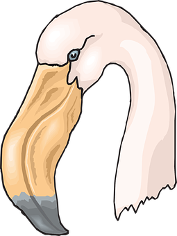 Stylized Flamingo Head Illustration PNG