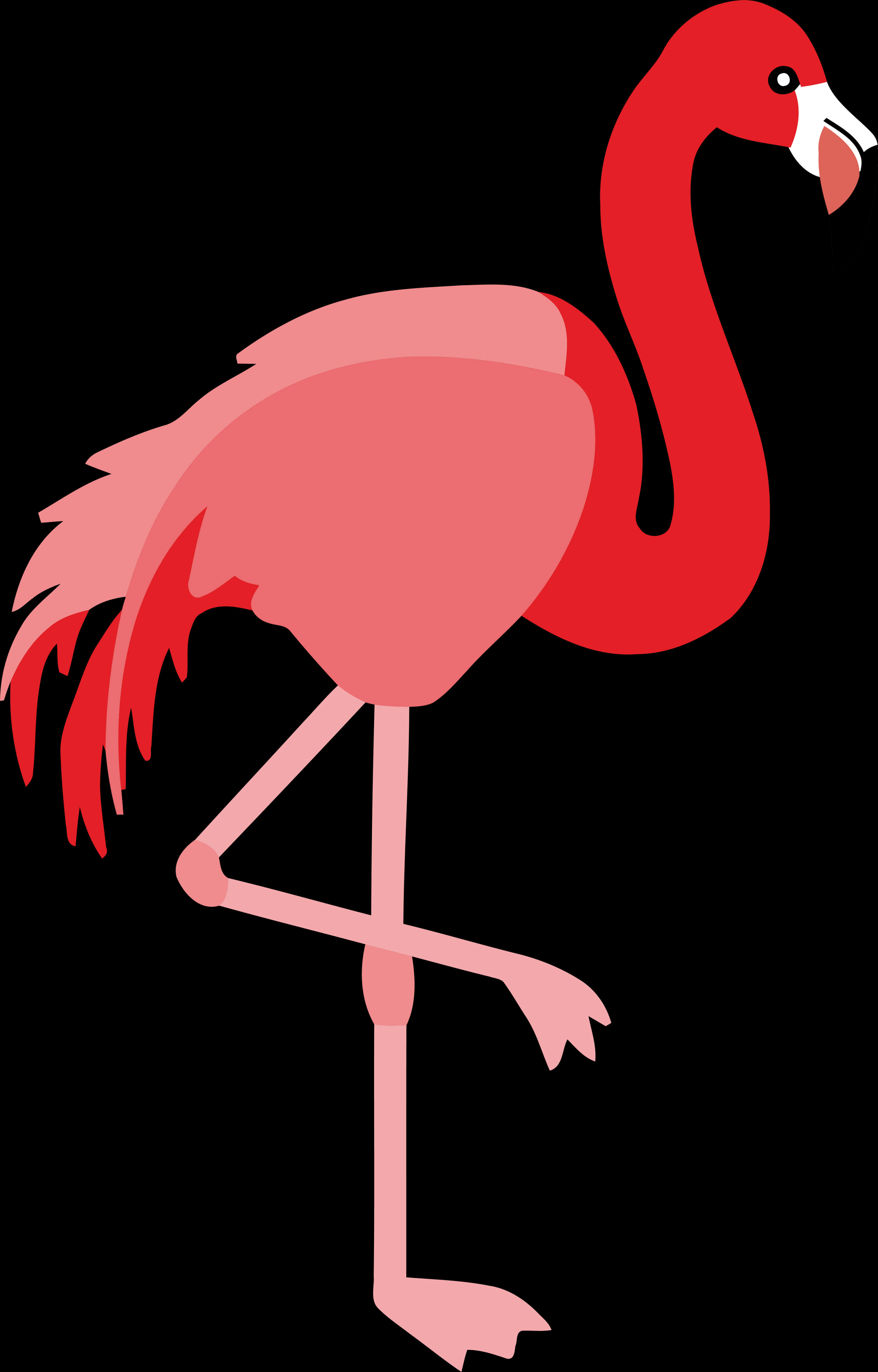 Stylized Flamingo Vector Illustration PNG