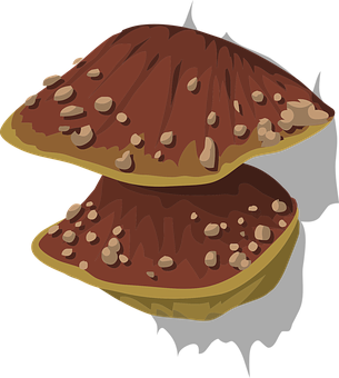 Stylized Fungus Illustration PNG