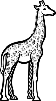 Stylized Giraffe Graphic PNG