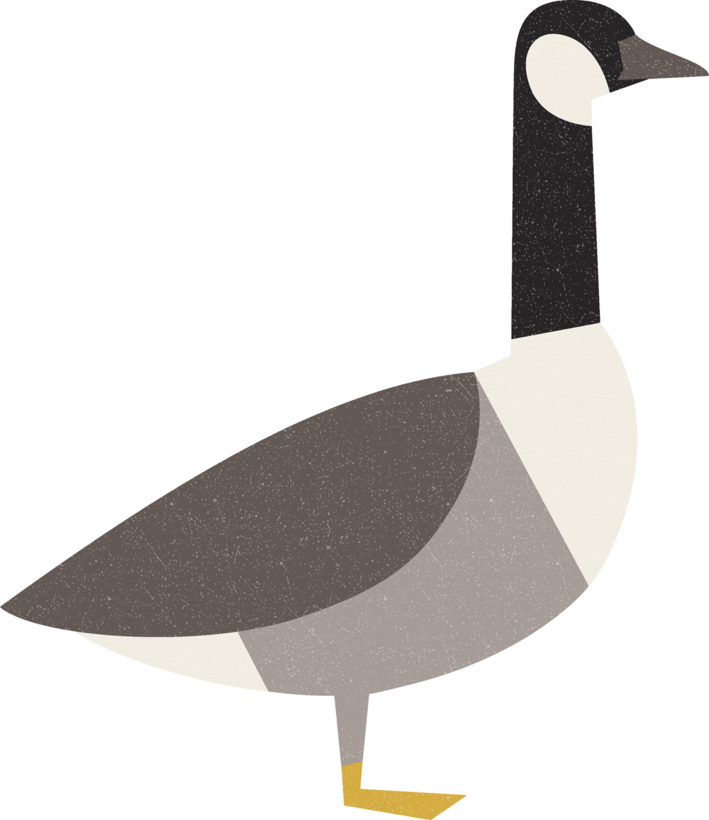 Stylized Goose Illustration PNG