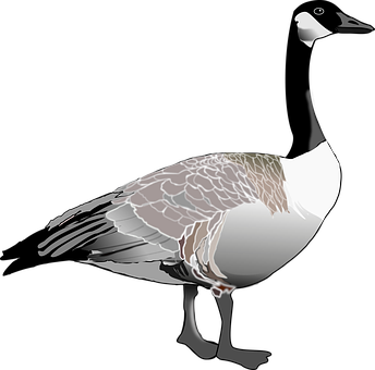 Stylized Goose Illustration PNG