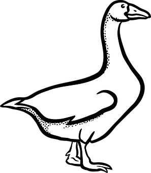 Stylized Goose Silhouette PNG