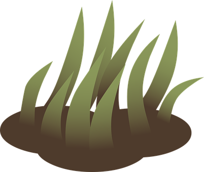 Stylized Grass Vector Illustration PNG