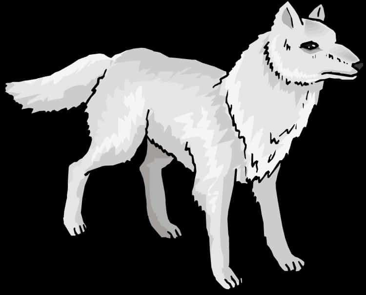 Stylized Gray Wolf Illustration PNG